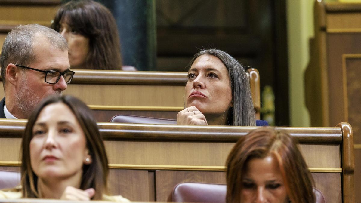Junts apoyará en el Congreso el decreto sobre el embargo de armas a Israel