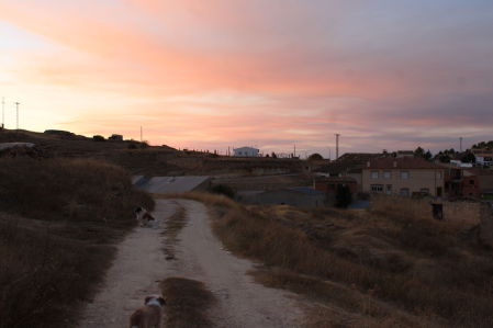 En el camino de vuelta, el cielo se tiñe de rosa sobre las modestas siluetas del pueblo. Una escena de calma rural.