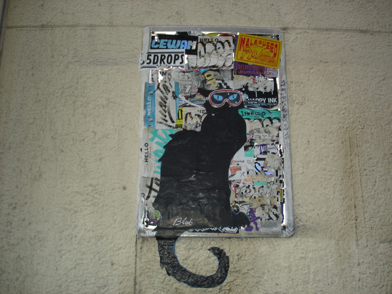 El gato buzo.