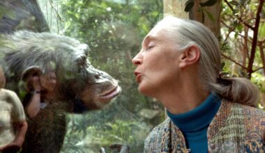 Adiós a Jane Goodall, la defensora de los chimpancés