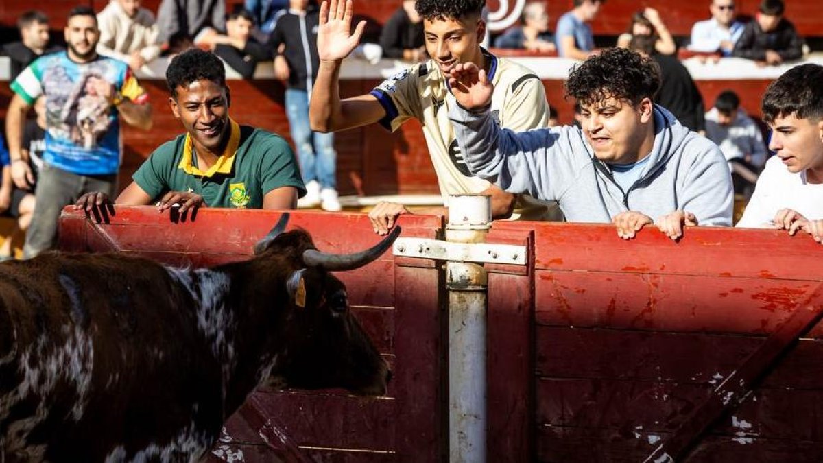 Recortes, quiebros y algún revolcón