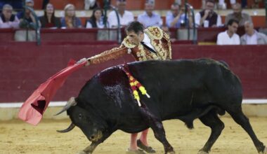 El diestro leonés durante su última faena en la Feria del Pilar de Zaragoza.