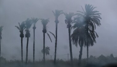 Última hora de la DANA Alice, en directo