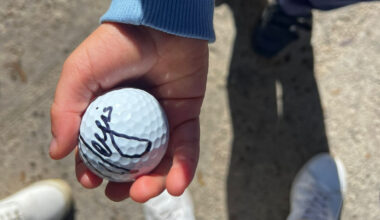 Sergio García, Markov y la picadura de una avispa