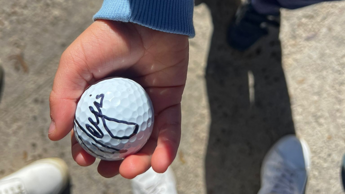 Sergio García, Markov y la picadura de una avispa