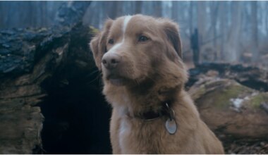 'Good Boy', la película de terror de la que todos hablan llega a Sitges 2025