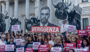 El PP aprovecha la indecisión del PSOE con la tauromaquia y registra una iniciativa para convertirla en patrimonio de la UNESCO