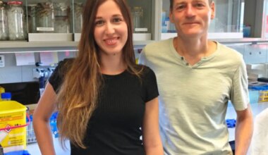 Investigadores españoles identifican moléculas clave que impulsan el cáncer de endometrio