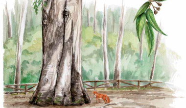 Un libro ilustrado recupera el espíritu de los cuadernos de campo de Félix Rodríguez de la Fuente