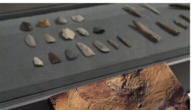 El Museo Altamira estrena la intervención 'Libros entre piezas' con motivo del Día de las Bibliotecas