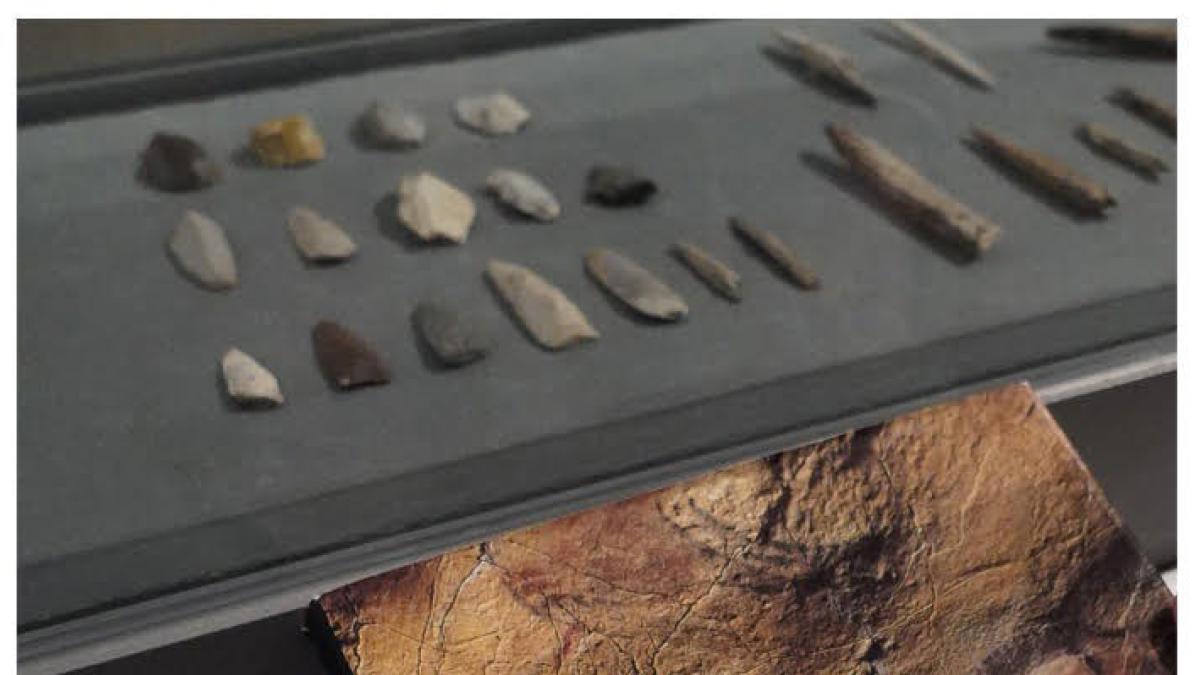 El Museo Altamira estrena la intervención 'Libros entre piezas' con motivo del Día de las Bibliotecas