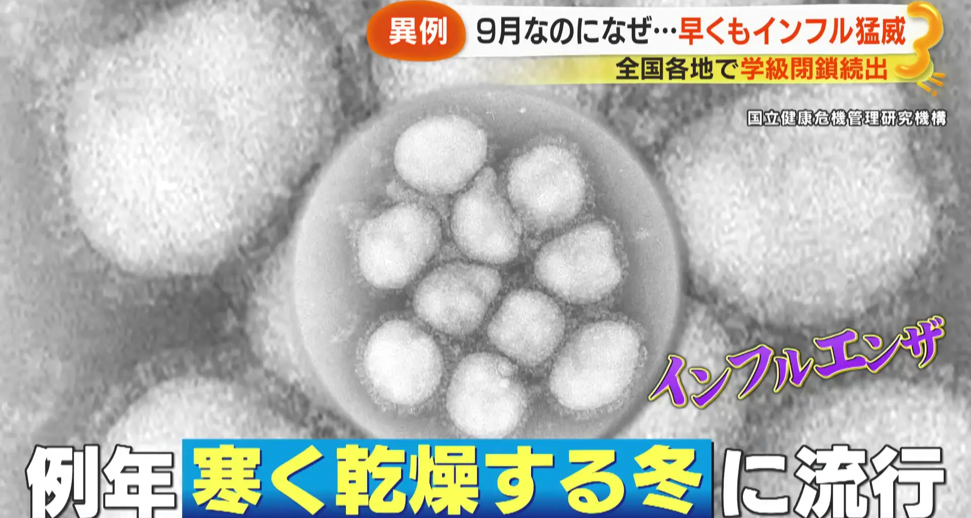 causas, síntomas y posibilidad de epidemia