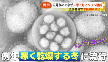 causas, síntomas y posibilidad de epidemia