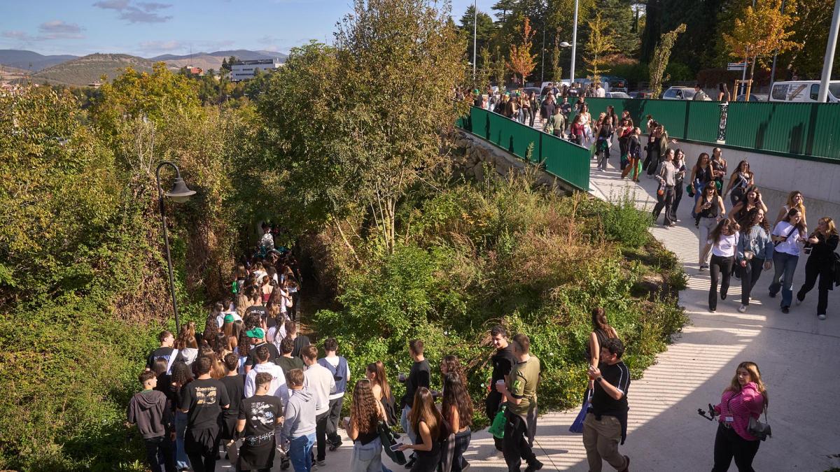 Cuatro detenidos por una presunta agresión sexual a una joven semiinconsciente en la Carpa