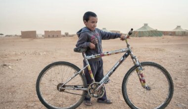 cincuenta años de traiciones y olvidos