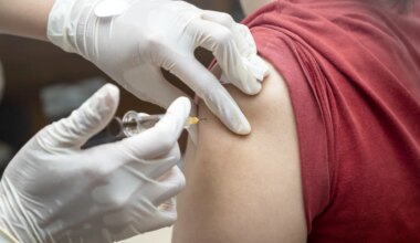 estos son los distintos tipos aprobados o en desarrollo