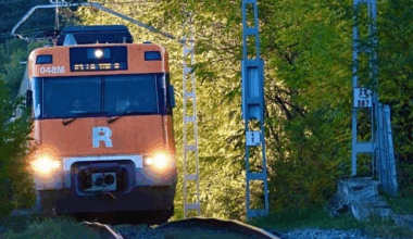 El tren de los árboles del Ripollès