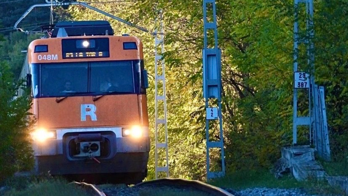 El tren de los árboles del Ripollès