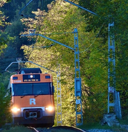 El tren de los árboles del Ripollès.