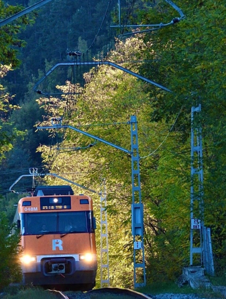 El tren de los árboles del Ripollès.