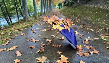 La lluvia revitaliza el otoño