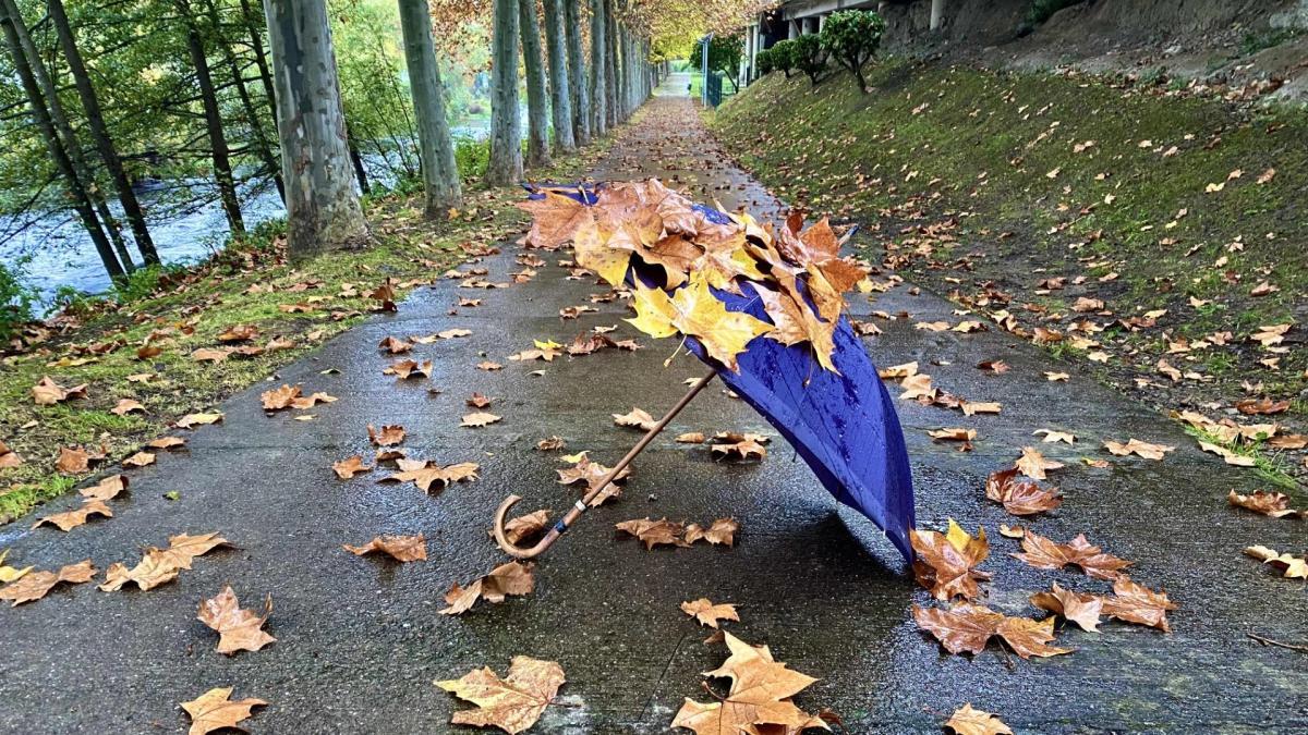 La lluvia revitaliza el otoño