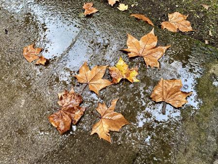 Día otoñal de lluvia en Campdevànol.