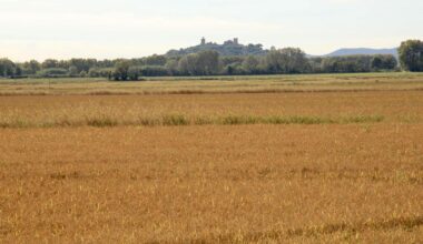 Los paisajes del otoño se dibujan en Pals