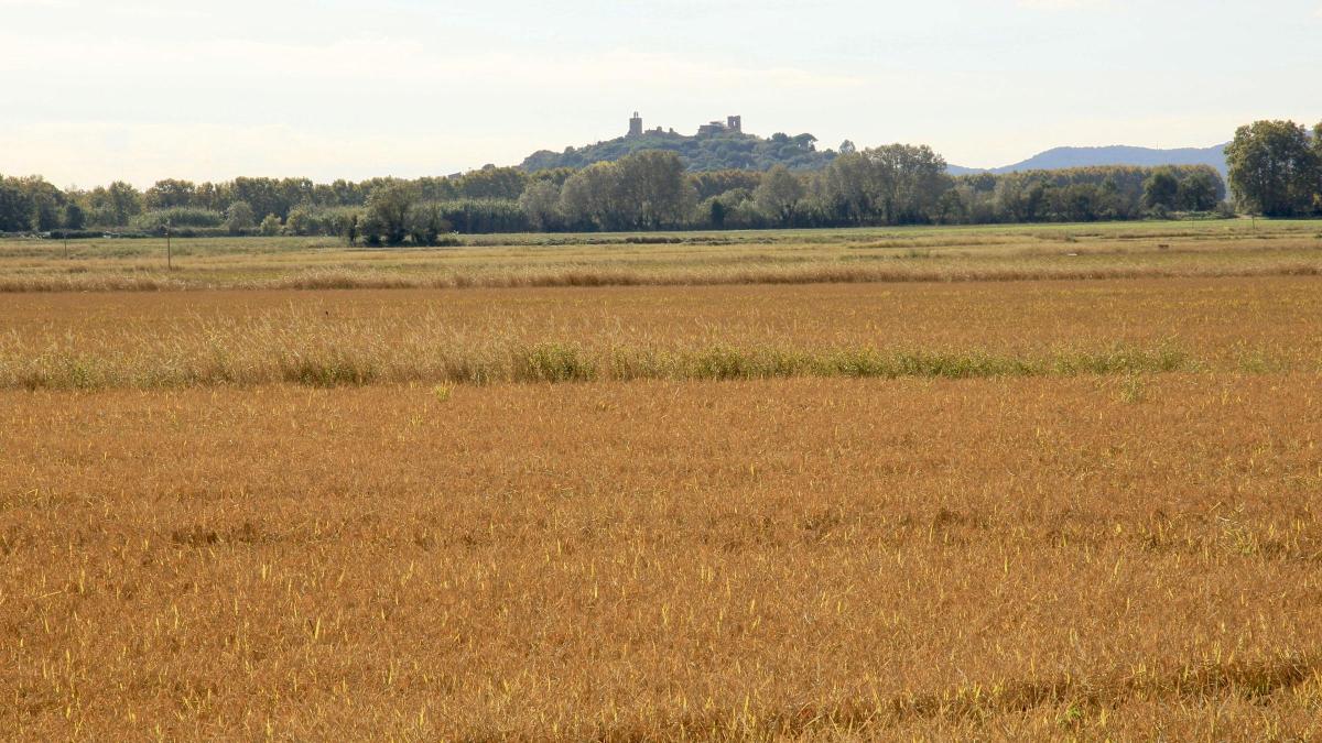 Los paisajes del otoño se dibujan en Pals
