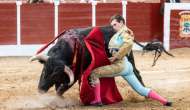 Ruiz de Velasco, en la final del Liga Nacional de Novilladas