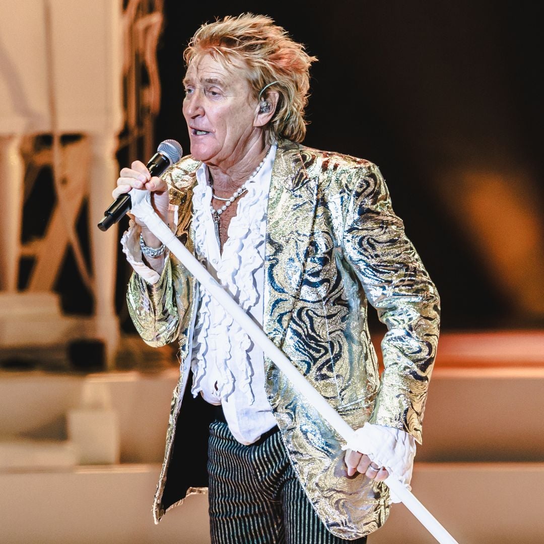 Rod Stewart micrófono en mano