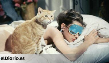 Cuando una gata es la tercera en discordia en un triángulo amoroso