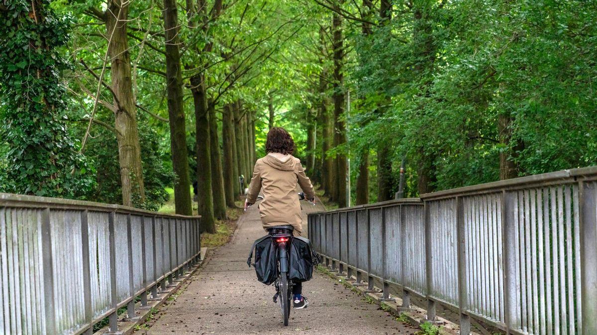 Descubriendo Lovaina sobre pedales.