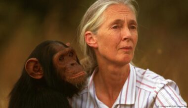 La reconocida etóloga Jane Goodall muere a los 91 años – DW – 01/10/2025