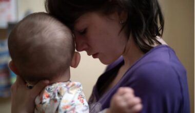 Elsa Fernández-Santos