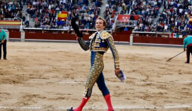 Román regresa a los ruedos tras casi un mes: Madrid y Bocairent en el punto de mira