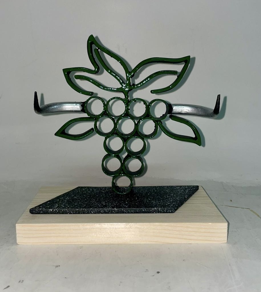 Premios Tierras del Interior – Avance Taurino