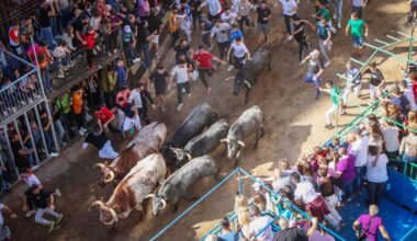El Periódico Mediterráneo