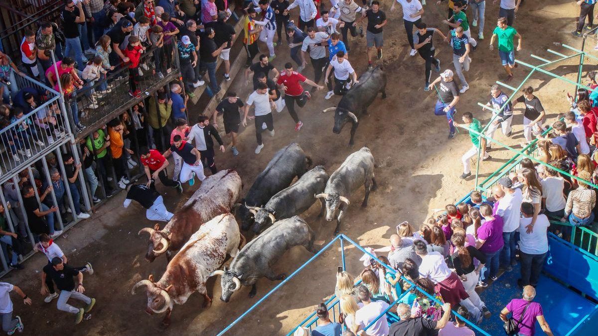 El Periódico Mediterráneo