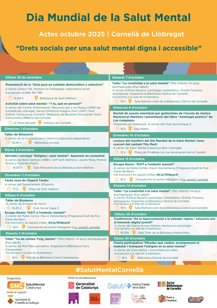 PROGRAMA VERTICAL DMSM 2025.png