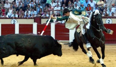 El 13% de la población de Castilla y León acude a festejos taurinos, cinco puntos más que la media nacional