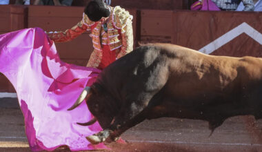 Con ocho corridas se completa la Temporada Grande 2025 en ciudad mexicana de Guadalajara