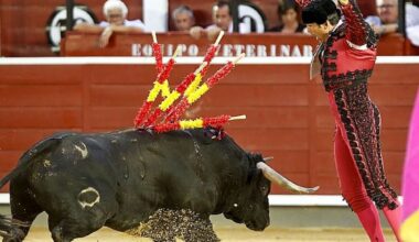 José María Arenas disfruta de nuevo de la profesión