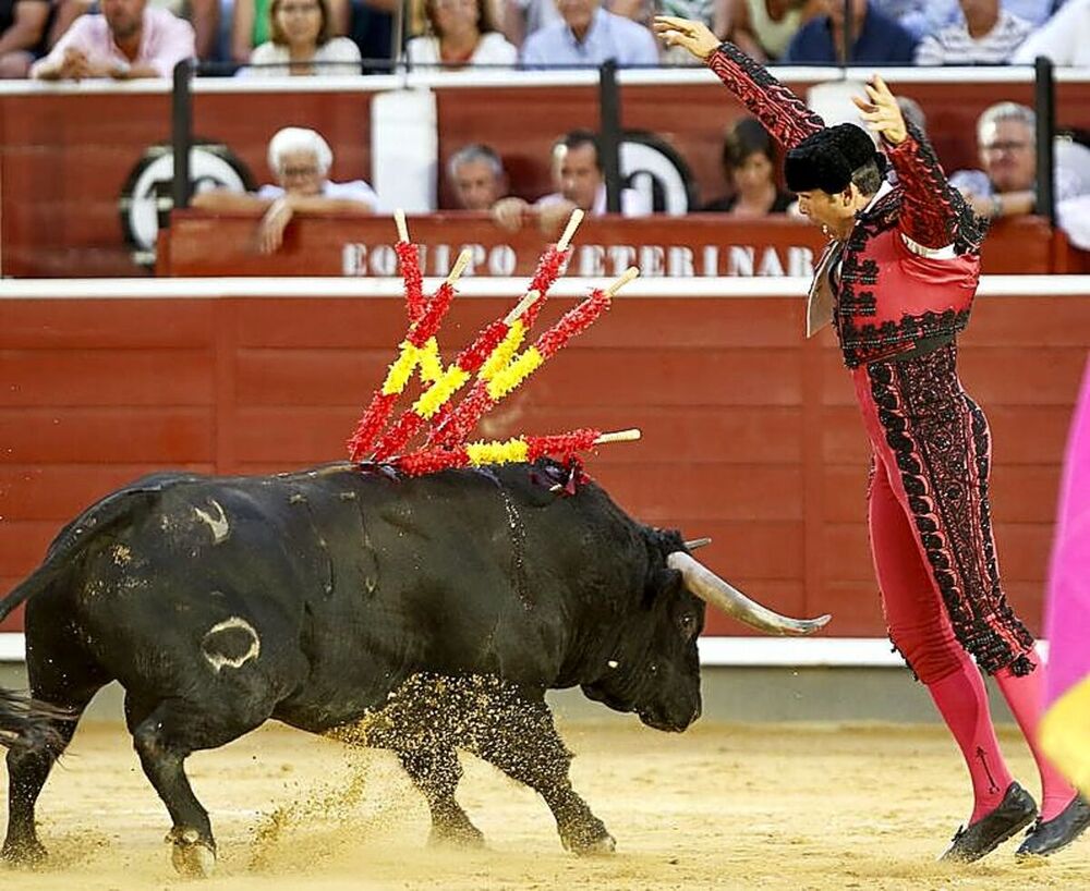 José María Arenas disfruta de nuevo de la profesión