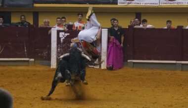 Alba de Tormes celebra un nuevo concurso de cortes