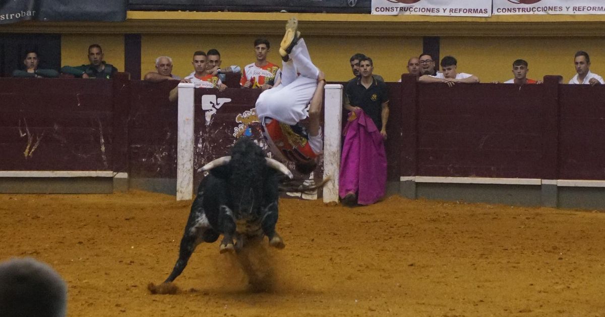 Alba de Tormes celebra un nuevo concurso de cortes