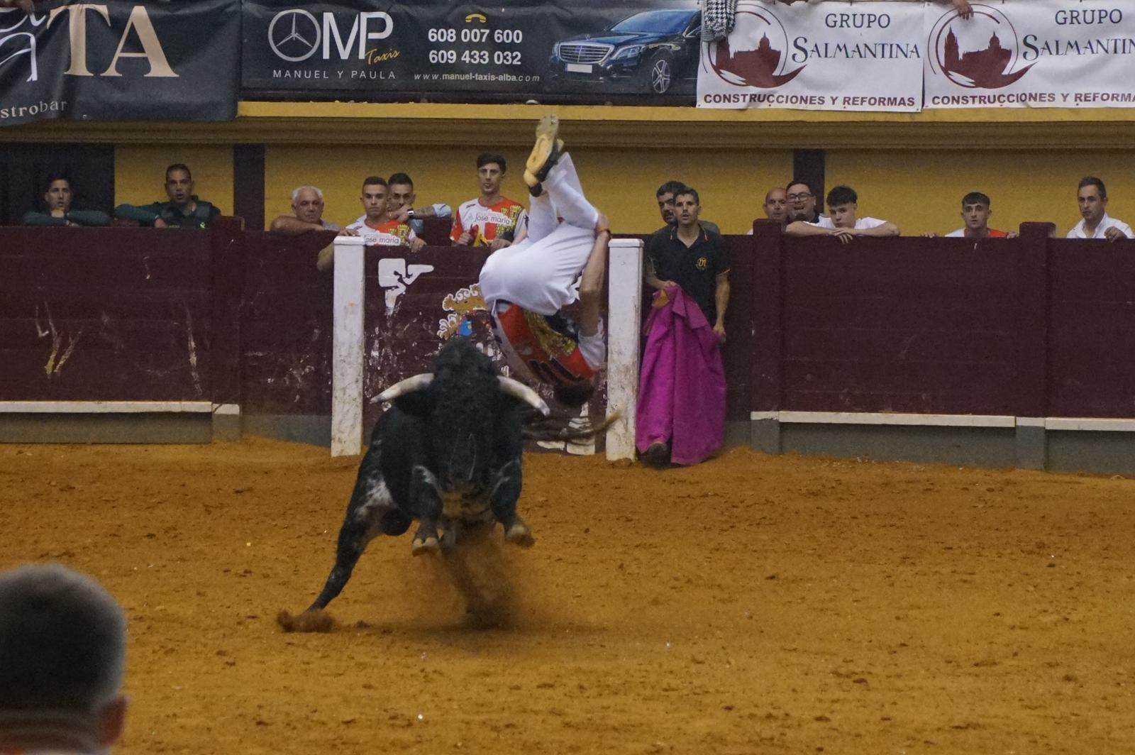 Alba de Tormes celebra un nuevo concurso de cortes Alba de Tormes celebra un nuevo concurso de cortes