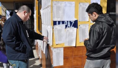 Elecciones legislativas 2024