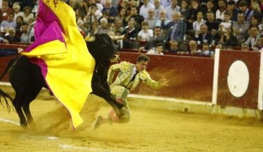 El Periódico Aragón