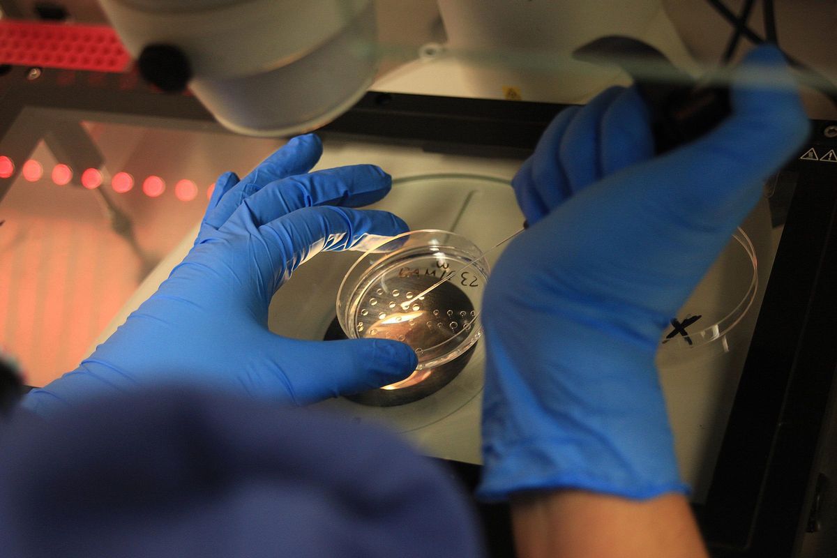 Un ensayo español de quimio-inmunoterapia logra reducir las recaídas en cáncer de pulmón